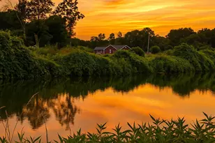 3365 Lakeside Rd, Millersport, OH 43046 - Photo 1