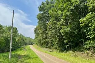 0 Township Rd 437, Dresden, OH 43821 - Photo 1