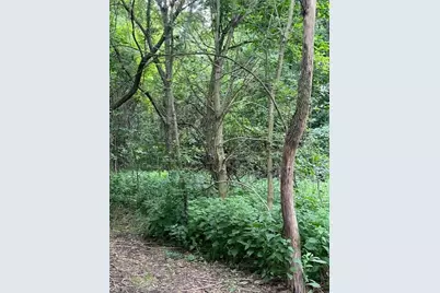 0 Ball Rd Road, Centerburg, OH 43011 - Photo 1