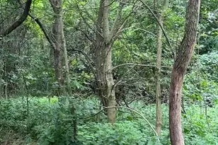 0 Ball Rd Rd, Centerburg, OH 43011 - Photo 1