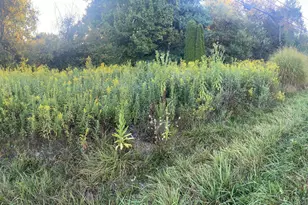 14120 Monroe Mills Rd, Howard, OH 43028 - Photo 1