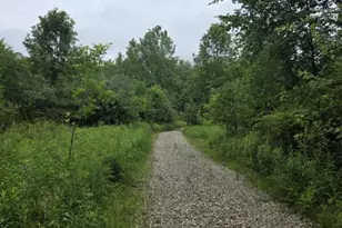 4719 Twp 115 Rd, Mount Gilead, OH 43338 - Photo 1