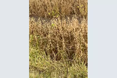 0 Tarlton Road, Circleville, OH 43113 - Photo 1