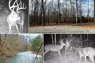 0 Dutch Ridge Rd, New Lexington, OH 43764 - Photo 1