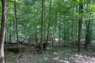 0 Bearclaw Ct SE, Sugar Grove, OH 43155 - Photo 1