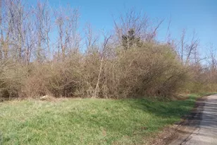0 Briggs Rd, Greenfield, OH 45123 - Photo 1