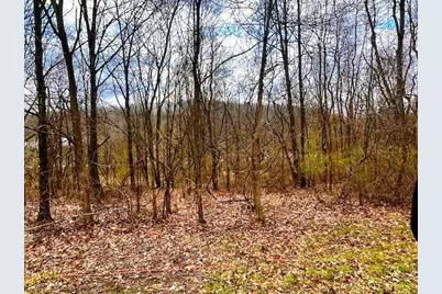 217 Valleybrook Circle, Howard, OH 43028 - Photo 1