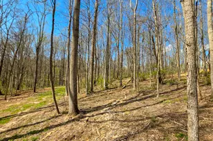 0 Dennis Rd, Zanesville, OH 43701 - Photo 1