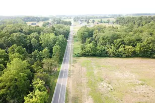 0 Brindle Rd, Ostrander, OH 43061 - Photo 1