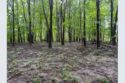 0 Orange, Delaware, OH 43015 - Photo 1
