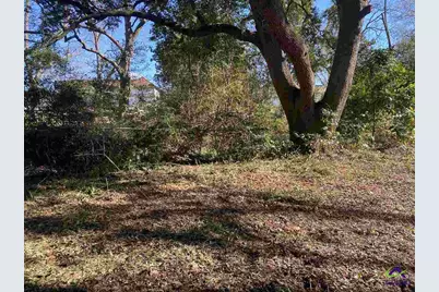 303 Griffin Avenue, Eastman, GA 31023 - Photo 5