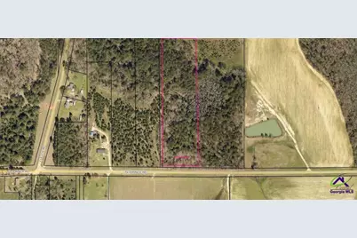 000 Flournoy Road, Hawkinsville, GA 31036 - Photo 1
