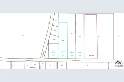 000 Flournoy Road, Hawkinsville, GA 31036 - Photo 3