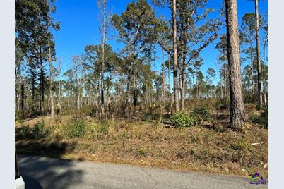 Tract-9 Lower Simmons Road, Macon, GA 31220 - Photo 1