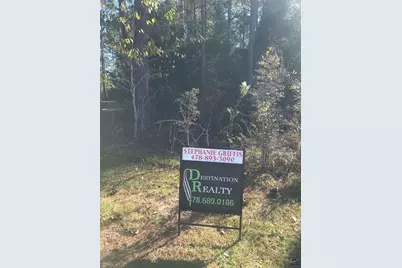 0 Eagles Nest Circle, Eastman, GA 31023 - Photo 1