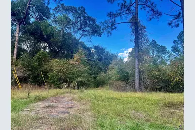 0 Shady Oaks, Eastman, GA 31023 - Photo 7