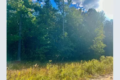 0 Shady Oaks, Eastman, GA 31023 - Photo 5