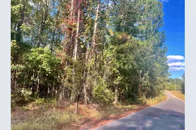 0 Shady Oaks, Eastman, GA 31023 - Photo 3