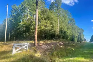 0 Shady Oaks, Eastman, GA 31023 - Photo 1