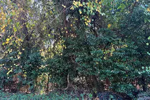 106 Ida Ave, Warner Robins, GA 31088 - Photo 1