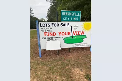 C 12 Oak Drive, Hawkinsville, GA 31036 - Photo 1