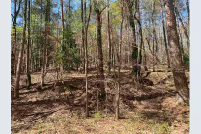 0 Sandra Drive, Gray, GA 31032 - Photo 3