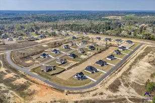 444 Burlington Drive, Macon, GA 31052 - Photo 59