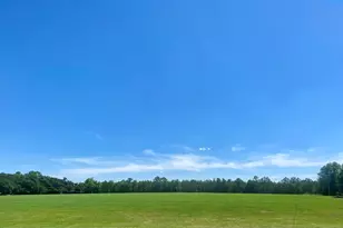 5879 Beatty Mill Creek Rd, Ray City, GA 31645 - Photo 3