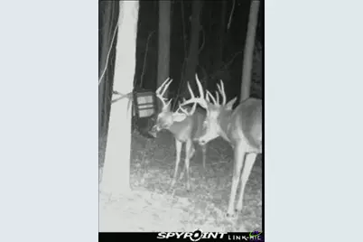 467 Kirkland Drive, Byron, GA 31008 - Photo 43