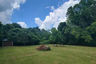 14 Kibbee St, Hawkinsville, GA 31036 - Photo 11