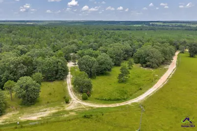 206 Southland Road, Butler, GA 31006 - Photo 43