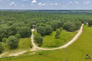 206 Southland Rd, Butler, GA 31006 - Photo 43