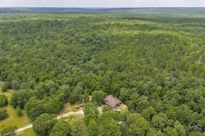 206 Southland Road, Butler, GA 31006 - Photo 53