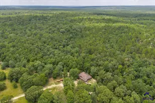 206 Southland Rd, Butler, GA 31006 - Photo 53