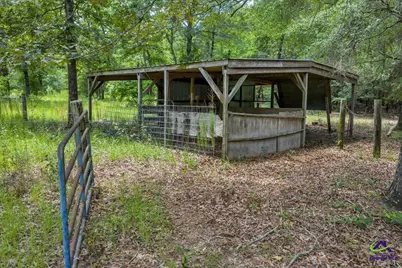 206 Southland Road, Butler, GA 31006 - Photo 47