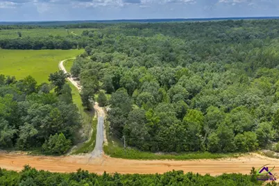 206 Southland Road, Butler, GA 31006 - Photo 41