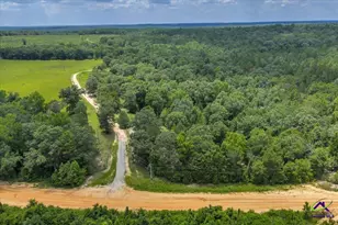 206 Southland Rd, Butler, GA 31006 - Photo 41