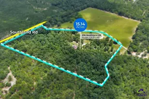 206 Southland Rd, Butler, GA 31006 - Photo 63