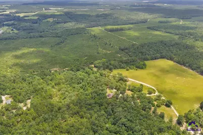 206 Southland Road, Butler, GA 31006 - Photo 39