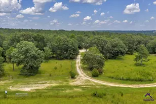 206 Southland Rd, Butler, GA 31006 - Photo 61