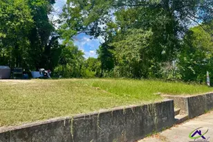 254 Forest Ave, Macon, GA 31207 - Photo 1