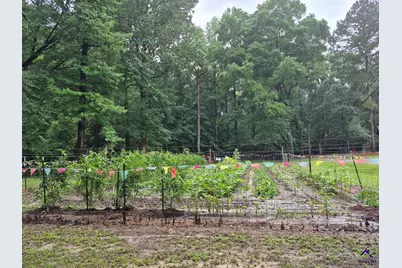 562 W Anderson Street, Oglethorpe, GA 31068 - Photo 59