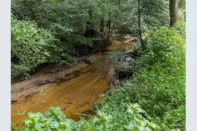 562 W Anderson Street, Oglethorpe, GA 31068 - Photo 57