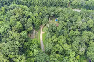 562 W Anderson St, Oglethorpe, GA 31068 - Photo 61