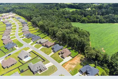 300 Rustic Live Oak Trail, Bonaire, GA 31005 - Photo 73