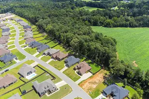 300 Rustic Live Oak Trl, Bonaire, GA 31005 - Photo 73