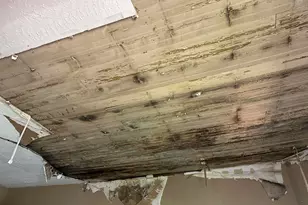 1216 Buena Vista, Macon, GA 31206 - Photo 5