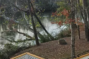 615 Old River Rd, Juliette, GA 31046 - Photo 31