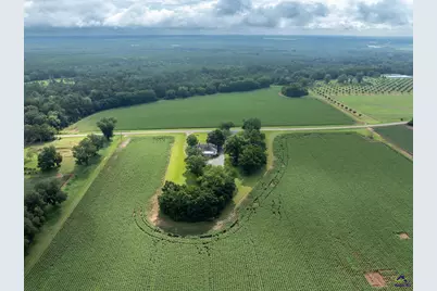 7890 Poplar Springs Road, Byromville, GA 31007 - Photo 39