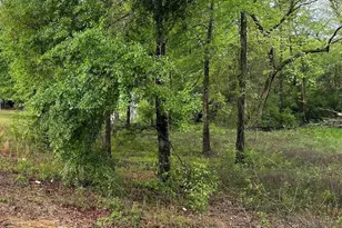 7515 Goodall Mill Rd, Macon, GA 31216 - Photo 1